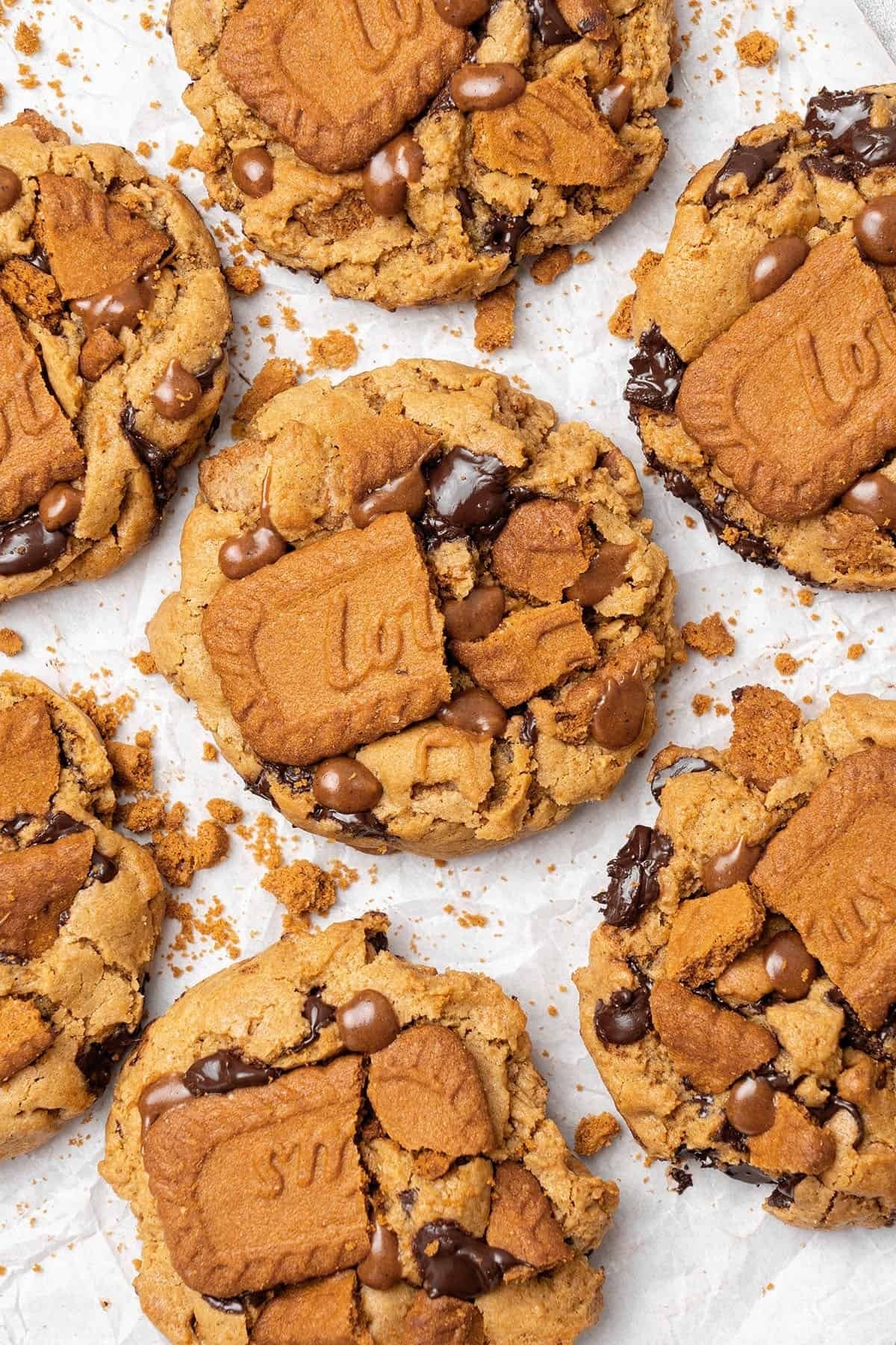 Choco-Lotus Bliss Cookie